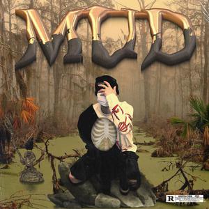 女星露点AV在线看
