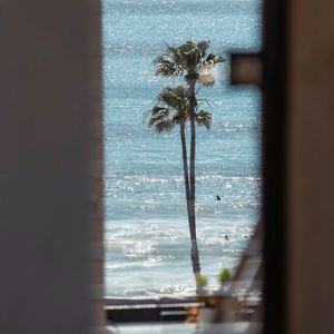 女星露点AV在线看
