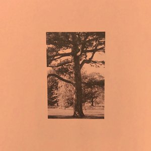 女星露点AV在线看
